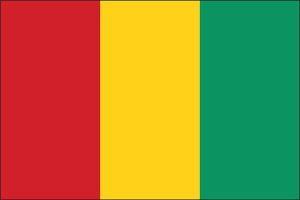 Flag of Guinea