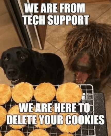 Doggie Tech support