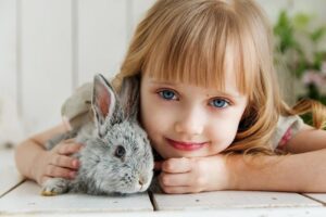 Rabbit Care 101 - Keringa-Petwings Expert Advice Articles