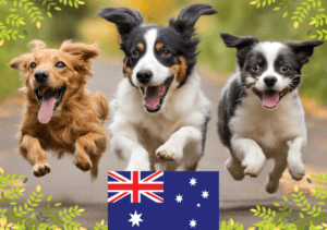Moving to New Zealand With Pets - Did You Know? 🐶🐱🇳🇿🐹🐰