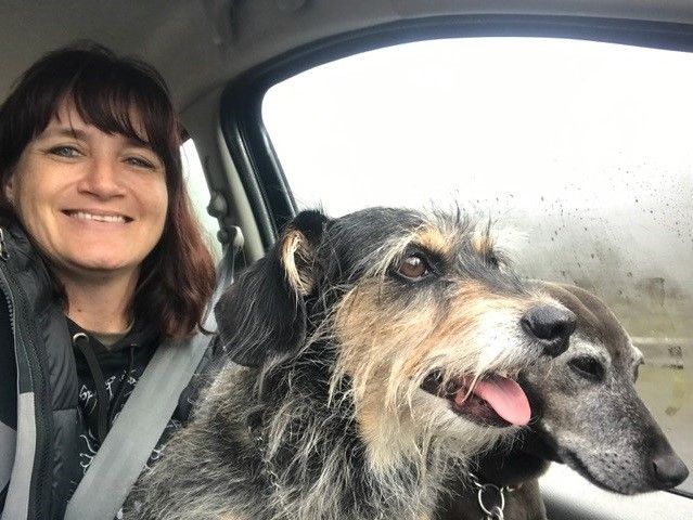Mendoim and Trigger are Safe and Sound in the UK 🐕❤️🇬🇧