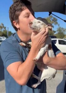 Gemma is Home with Her Family in Australia – Quarantine done and dusted Keringa-Petwings Pet Transport Testimonials 3