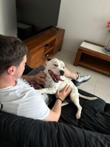 Riley's Australian Quarantine is Complete and he Has Joined His Family in Their New Home Keringa-Petwings Pet Transport Testimonials 1