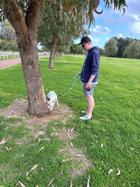 Riley's Australian Quarantine is Complete and he Has Joined His Family in Their New Home Keringa-Petwings Pet Transport Testimonials 2