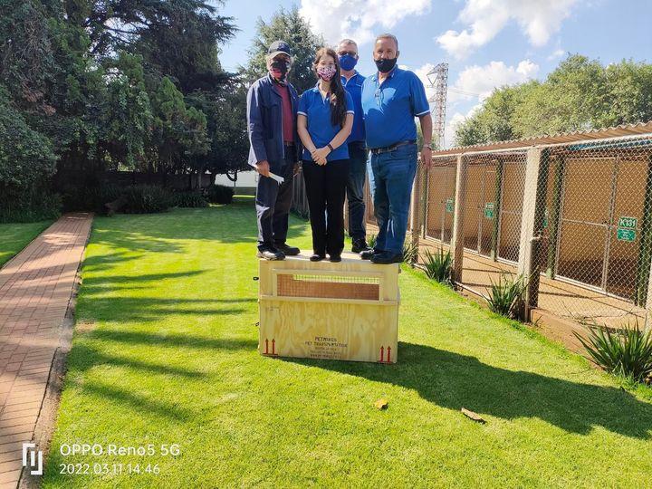 Staff on top of travel container | Luxury Pet 'Transpawtation' Containers | Keringa-Petwings