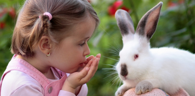 The Joy of Rabbits Featured Image