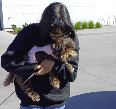 Popples is Safe and Sound in Australia 🇦🇺❤️🐶 2 Popples is Safe and Sound in Australia Keringa Petwings review featured image