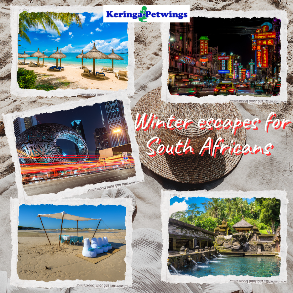 ☀️ Winter Escapes for South Africans - image003 - Keringa-Petwings - Pet Transport, Pet Boarding, Pet Shop & Pet Services
