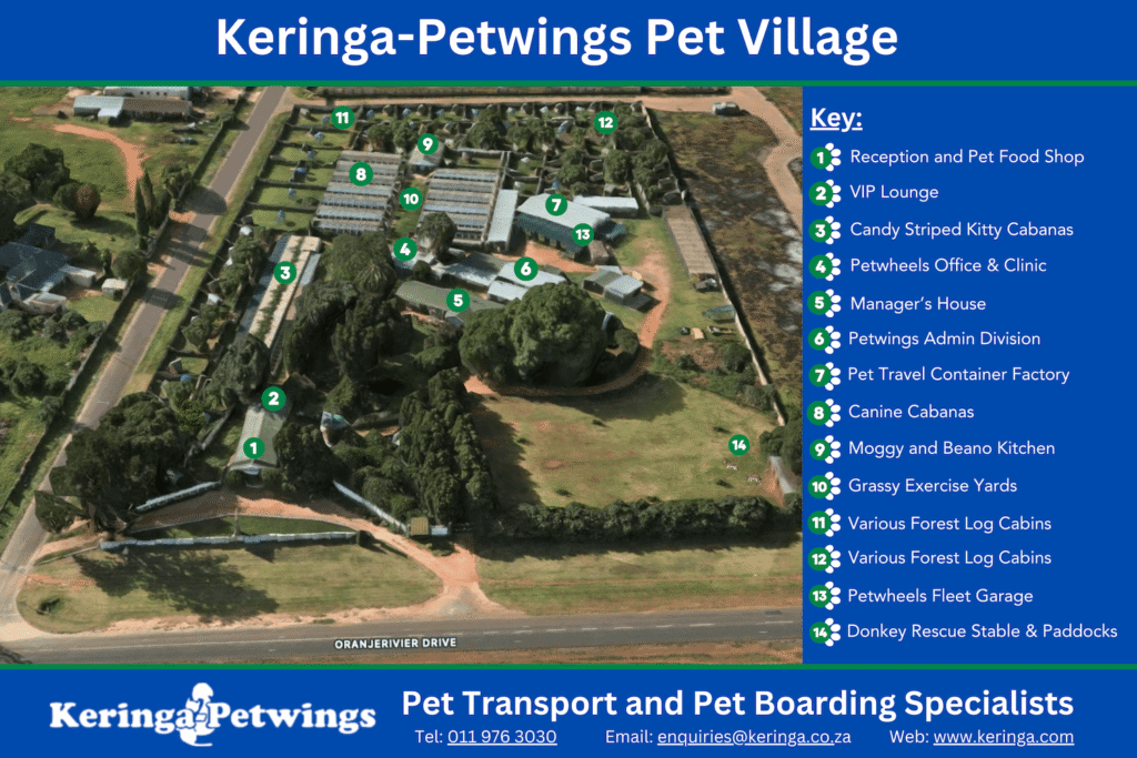 Keringa Doggy Daycare - Headquarters Aerial Map with Key Site Ready - Keringa-Petwings - Pet Transport, Pet Boarding, Pet Shop & Pet Services