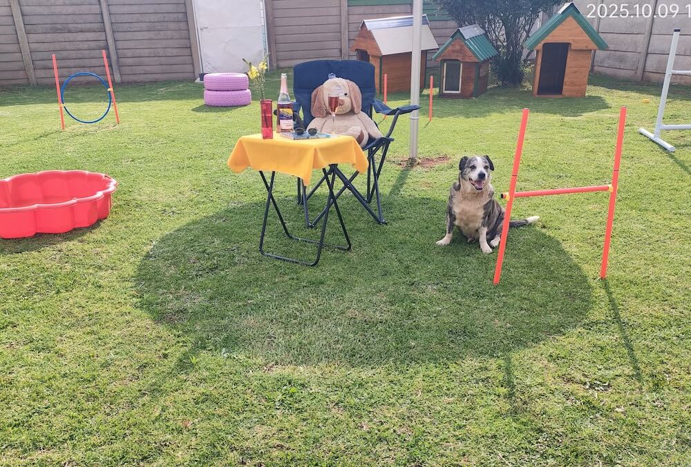 Private Pet Parks - Keringa Private Pet Parks Featured Image 155703 - Keringa-Petwings - Pet Transport, Pet Boarding, Pet Shop & Pet Services