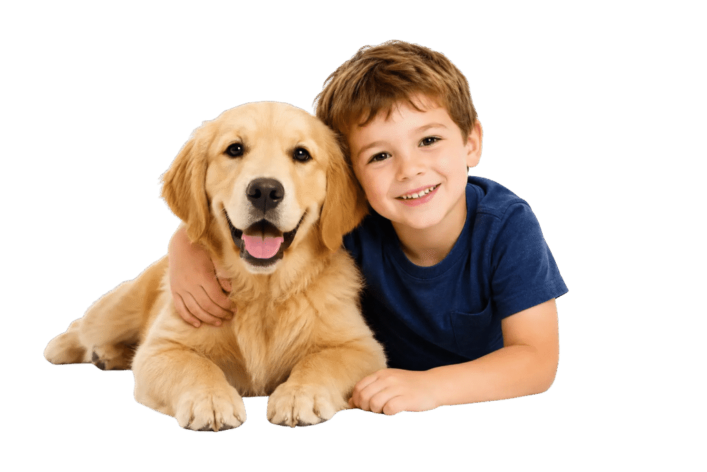 Jobs - Keringa Petwings Pe transport page boy lab transparent background - Keringa-Petwings - Pet Transport, Pet Boarding, Pet Shop & Pet Services