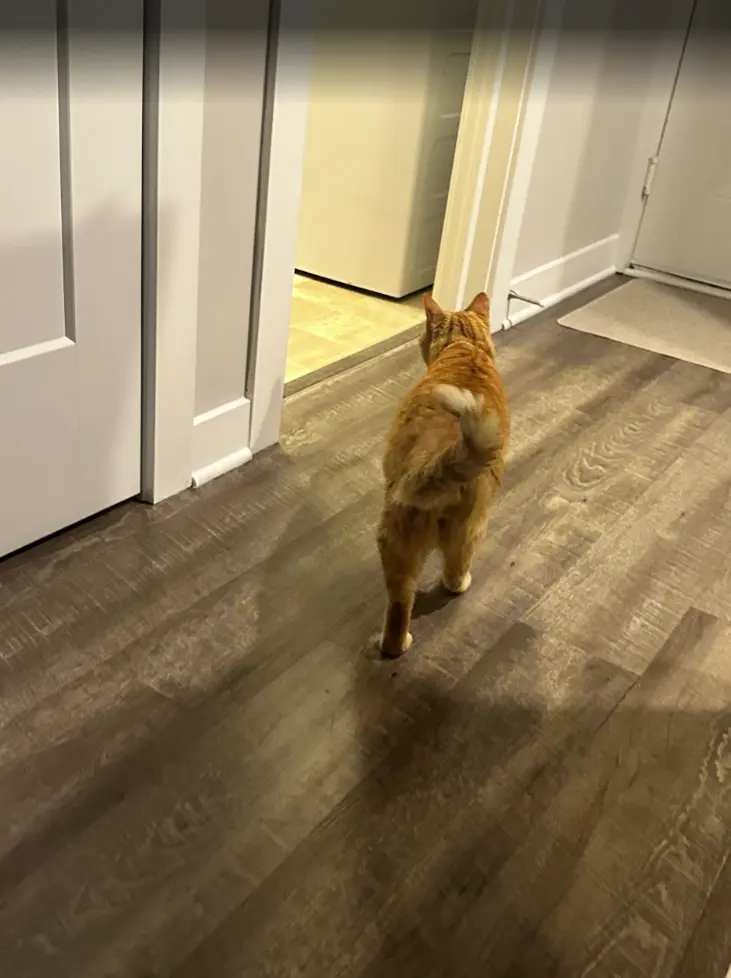 Sparkle Arrives Safely in Indiana Featured Image 3