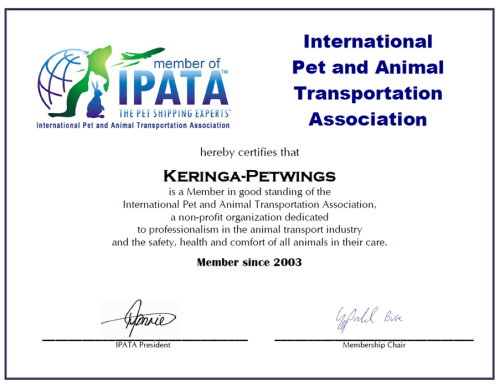 IPATA membership certificate as at Oct 2023